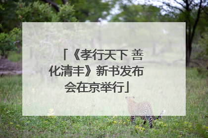 《孝行天下 善化清丰》新书发布会在京举行