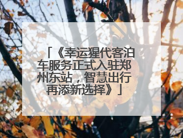 《幸运猩代客泊车服务正式入驻郑州东站，智慧出行再添新选择》