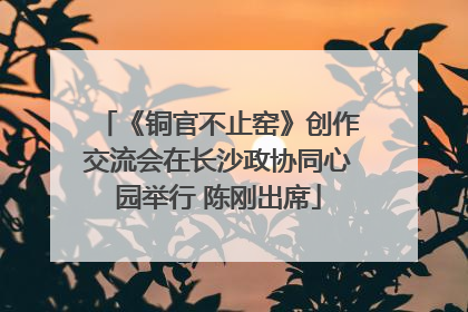 《铜官不止窑》创作交流会在长沙政协同心园举行 陈刚出席