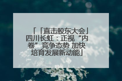 「直击股东大会」四川长虹：正视“内卷”竞争态势 加快培育发展新动能