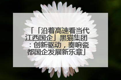 「沿着高速看当代江西国企」黑猫集团：创新驱动，奏响瓷都国企发展新乐章
