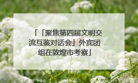 「聚焦第四届文明交流互鉴对话会」外宾团组在敦煌市考察
