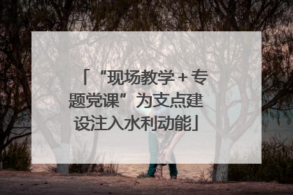 “现场教学＋专题党课”为支点建设注入水利动能