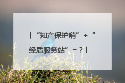 “知产保护哨”+“经盾服务站”=？
