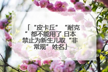 “皮卡丘”“耐克”都不能用了 日本禁止为新生儿取“非常规”姓名