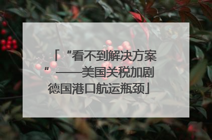 “看不到解决方案”——美国关税加剧德国港口航运瓶颈