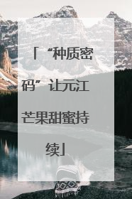 “种质密码”让元江芒果甜蜜持续