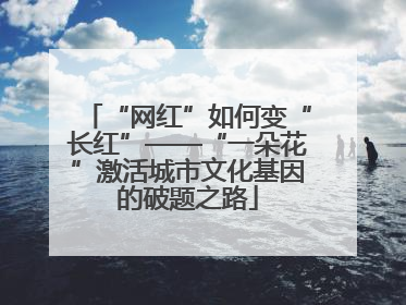 “网红”如何变“长红”——“一朵花”激活城市文化基因的破题之路