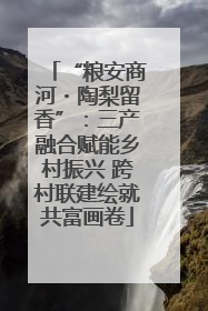 “粮安商河・陶梨留香”：三产融合赋能乡村振兴 跨村联建绘就共富画卷