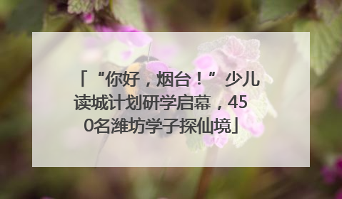 “你好，烟台！”少儿读城计划研学启幕，450名潍坊学子探仙境