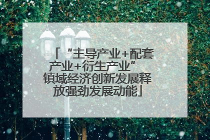 “主导产业+配套产业+衍生产业” 镇域经济创新发展释放强劲发展动能