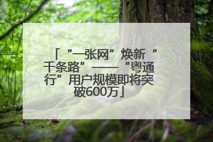 “一张网”焕新“千条路”——“粤通行”用户规模即将突破600万