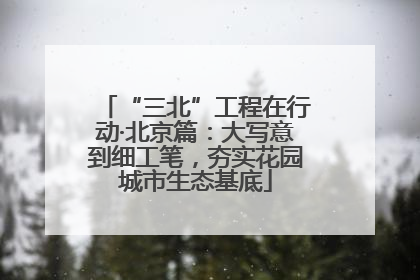 “三北”工程在行动·北京篇：大写意到细工笔，夯实花园城市生态基底