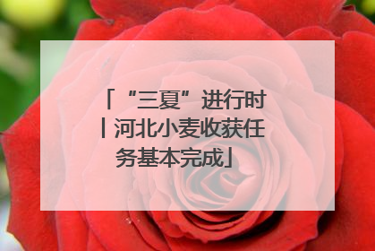 “三夏”进行时丨河北小麦收获任务基本完成