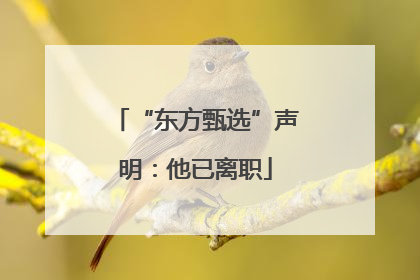 “东方甄选”声明：他已离职