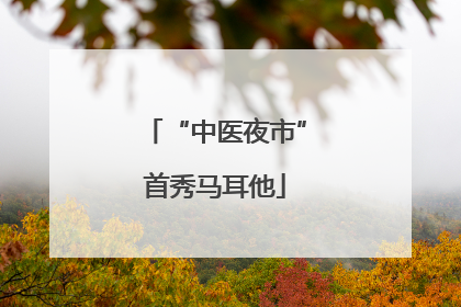 “中医夜市”首秀马耳他