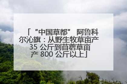 “中国草都” 阿鲁科尔沁旗：从野生牧草亩产 35 公斤到苜蓿草亩产 800 公斤以上