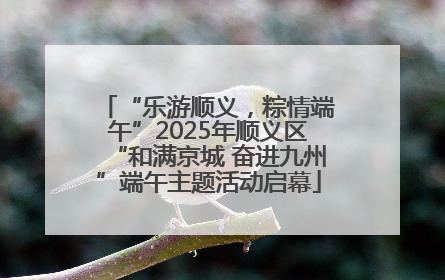 “乐游顺义，粽情端午”2025年顺义区“和满京城 奋进九州”端午主题活动启幕