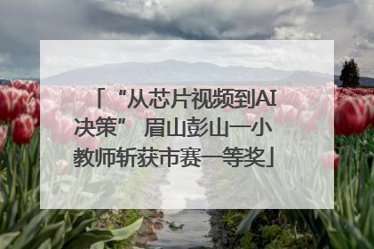 “从芯片视频到AI决策” 眉山彭山一小教师斩获市赛一等奖