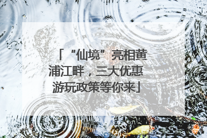 “仙境”亮相黄浦江畔，三大优惠游玩政策等你来