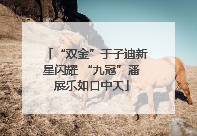 “双金”于子迪新星闪耀 “九冠”潘展乐如日中天