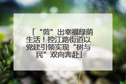 “剪”出幸福绿荫生活！控江路街道以党建引领实现“树与民”双向奔赴