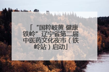 “国粹岐黄 健康铁岭”辽宁省第二届中医药文化夜市（铁岭站）启动