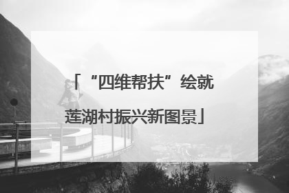“四维帮扶”绘就莲湖村振兴新图景
