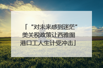 “对未来感到迷茫” 美关税政策让西雅图港口工人生计受冲击