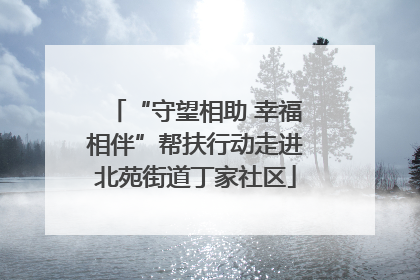 “守望相助 幸福相伴”帮扶行动走进北苑街道丁家社区