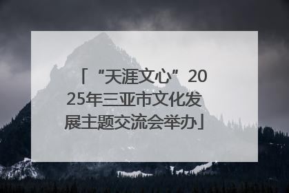 “天涯文心”2025年三亚市文化发展主题交流会举办