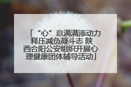 “心”意满满添动力 释压减负凝斗志 陕西合阳公安组织开展心理健康团体辅导活动