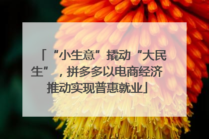 “小生意”撬动“大民生”，拼多多以电商经济推动实现普惠就业