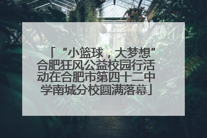 “小篮球，大梦想”合肥狂风公益校园行活动在合肥市第四十二中学南城分校圆满落幕