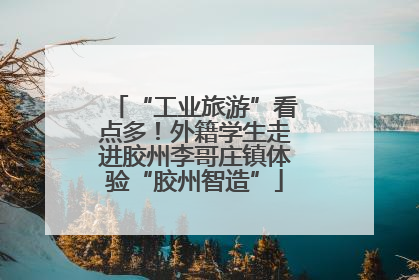 “工业旅游”看点多！外籍学生走进胶州李哥庄镇体验“胶州智造”