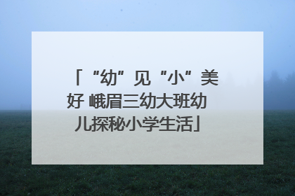 “幼”见“小”美好 峨眉三幼大班幼儿探秘小学生活