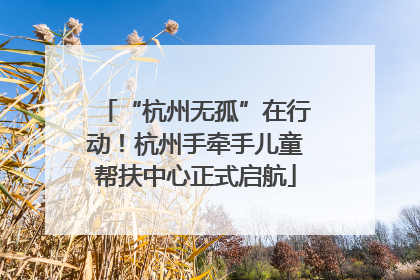 “杭州无孤”在行动！杭州手牵手儿童帮扶中心正式启航