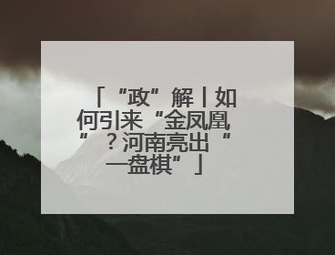 “政”解丨如何引来“金凤凰”？河南亮出“一盘棋”