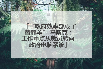 “政府效率部成了替罪羊” 马斯克：工作重点从裁员转向政府电脑系统