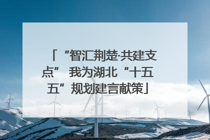 “智汇荆楚·共建支点” 我为湖北“十五五”规划建言献策