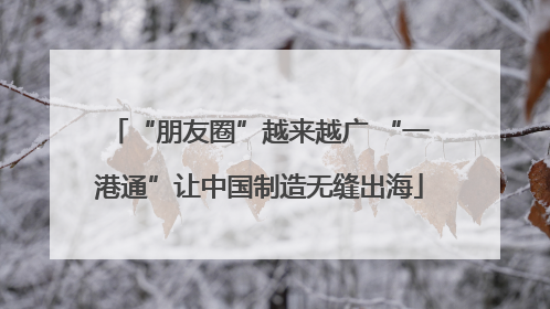 “朋友圈”越来越广 “一港通”让中国制造无缝出海