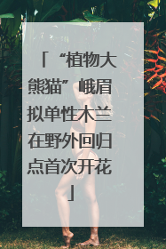 “植物大熊猫”峨眉拟单性木兰在野外回归点首次开花