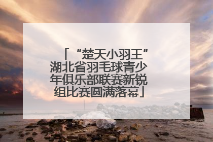 “楚天小羽王”湖北省羽毛球青少年俱乐部联赛新锐组比赛圆满落幕