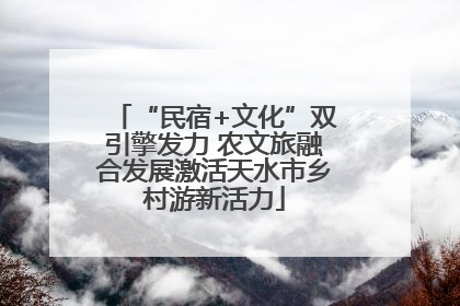 “民宿+文化”双引擎发力 农文旅融合发展激活天水市乡村游新活力