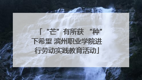 “芒”有所获 “种”下希望 滨州职业学院进行劳动实践教育活动