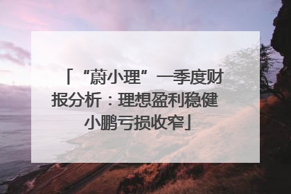 “蔚小理”一季度财报分析：理想盈利稳健 小鹏亏损收窄