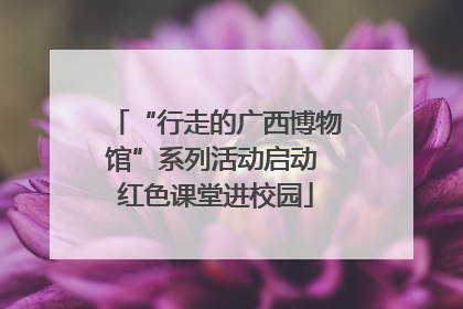 “行走的广西博物馆”系列活动启动 红色课堂进校园