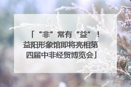 “非”常有“益”！益阳形象馆即将亮相第四届中非经贸博览会