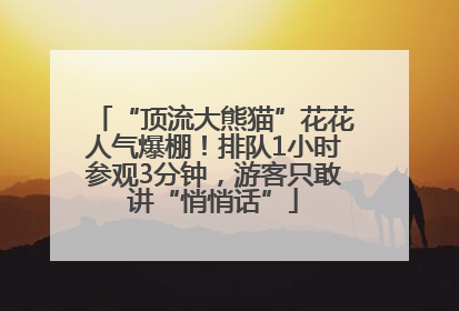 “顶流大熊猫”花花人气爆棚！排队1小时参观3分钟，游客只敢讲“悄悄话”