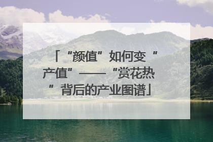 “颜值”如何变“产值”——“赏花热”背后的产业图谱